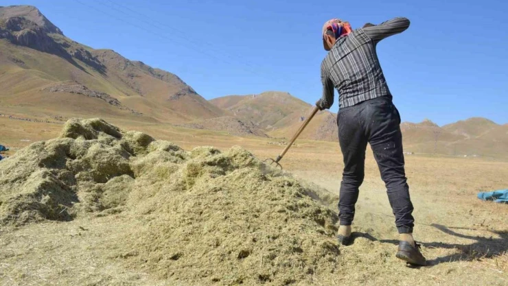 Faraşin Yaylası'nda besicilerin zorlu kış hazırlıkları devam ediyor