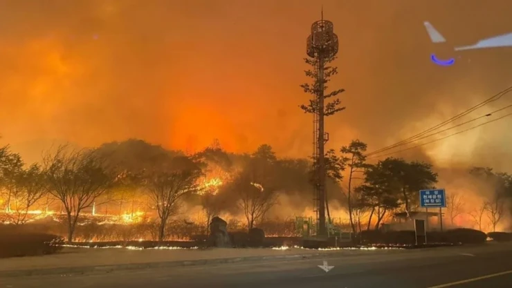 Güney Kore'deki orman yangınlarında bilanço ağırlaşıyor: Ölü sayısı 16'ya, yaralı sayısı 19'a yükseldi