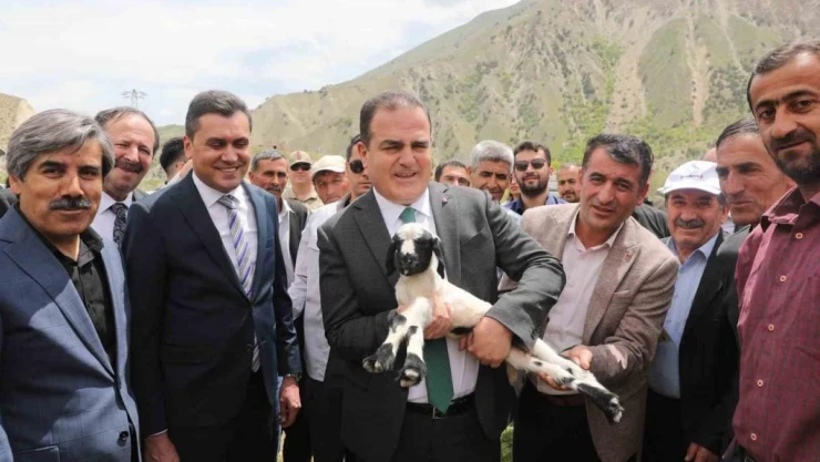 Hakkari'de 4 bin küçükbaş hayvan dağıtımı yapıldı