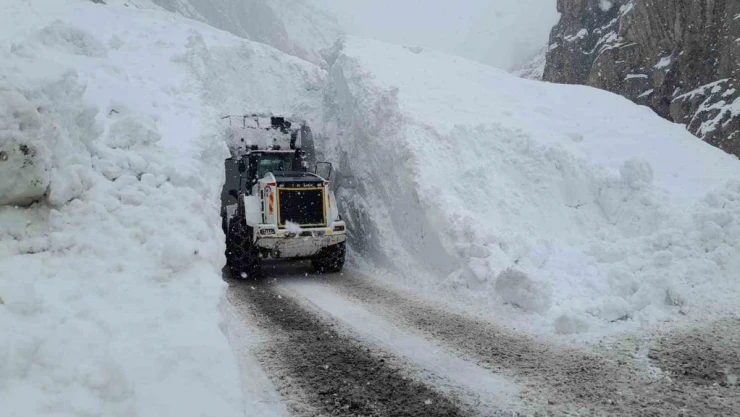 Hakkari'de çığ bölgesindeki çalışmalarda 10 metre yüksekten düşen ekip şefi yaralandı
