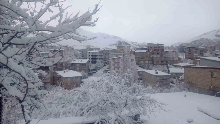Hakkari kar hapsinde: Okullar tatil edildi, 284 yerleşim yerinin yolu kapandı
