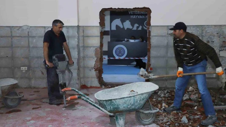 Hayvan hastanesinde yapım onarım çalışmaları sürüyor