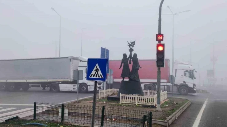 Iğdır'da yoğun sis etkili oluyor