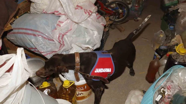 Isparta'da uyuşturucu operasyonuna 5 tutuklama