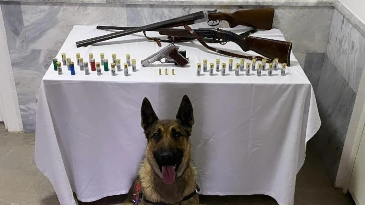 Jandarma yaptığı baskında 3 ruhsatsız silah ele geçirdi