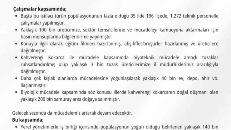 Kahverengi kokarca ile mücadele için 300 bin samuray arısı doğaya salınacak