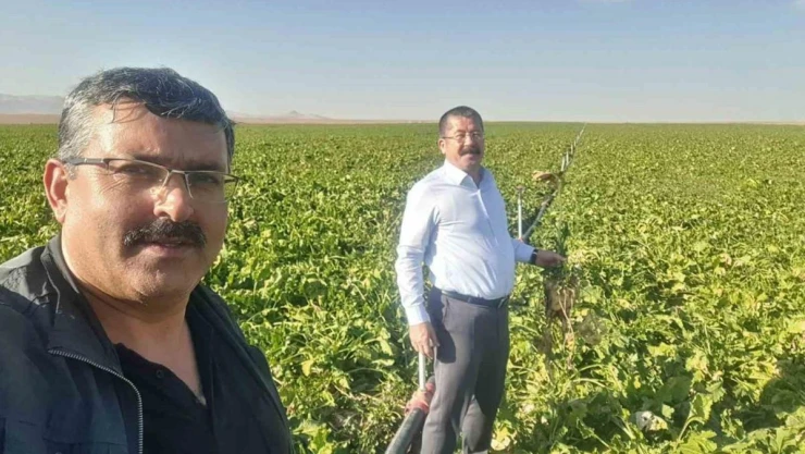 Karapınar'da mısır ve şekerpancarı mesaisi