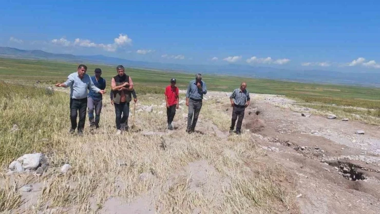 Kars'ta ekili araziler yağmurdan zarar gördü