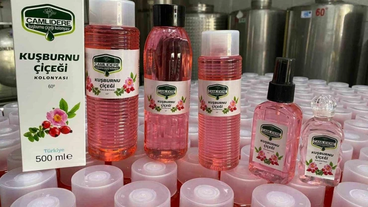 Kızılcahamam'ın yeni kokusu kuşburnu çiçeği