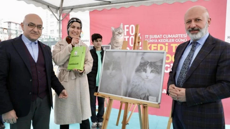 Kocasinan'da Kedi Temalı Fotoğraf Yarışması'nda kazananlar ödüllerini aldı