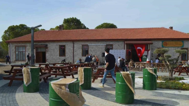 Köklerindeki bilgiyi geleceğe aktaracaklar