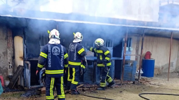 Kümesteki hayvanları yoldan geçen vatandaşların dikkati kurtardı