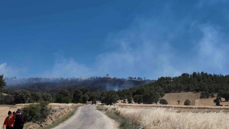Kütahya'daki orman yangınınnı söndürme çalışmaları devam ediyor