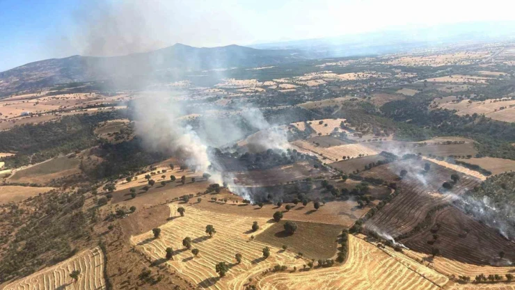 Kütahya'daki yangında 60 hektar ormanlık ve 50 hektarlık ziraat alanı zarar gördü