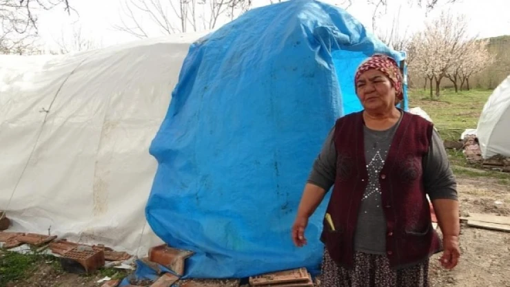 Malatyalı depremzedenin yara bandı kayısı
