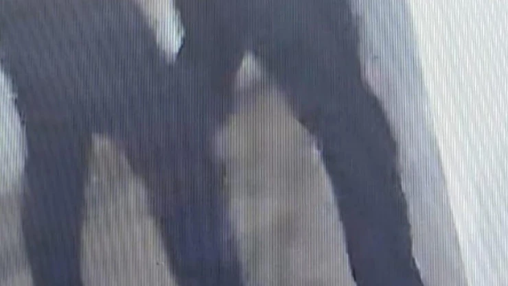 Maskeli hırsızlar polisten kaçamadı