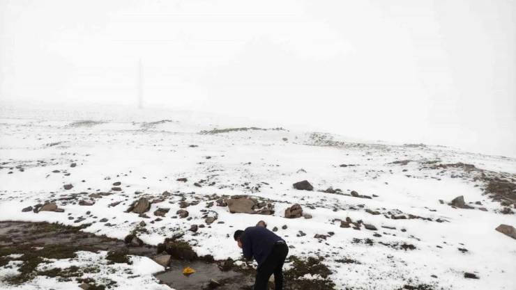 Mayıs ayında kar sürprizi