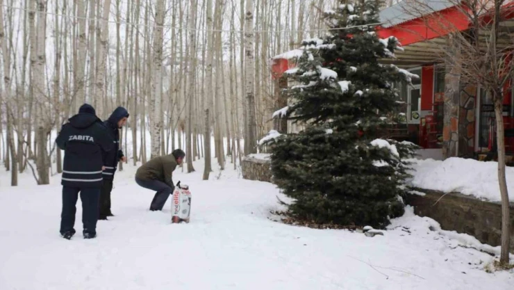 Muradiye Belediyesi sokak hayvanları için mama bıraktı