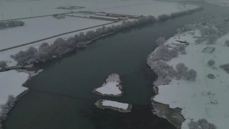 Muş'ta soğuklar hayatı olumsuz etkilerken, doğa eşsiz görüntüler sundu