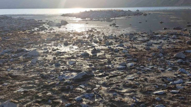 Nemrut Krater Gölü'nde kuraklık tehlikesi