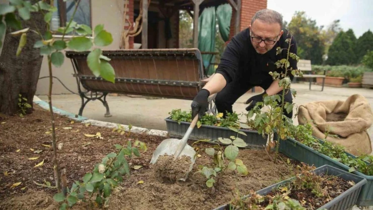 Nilüfer'de ağaç dallarından gübre elde ediliyor