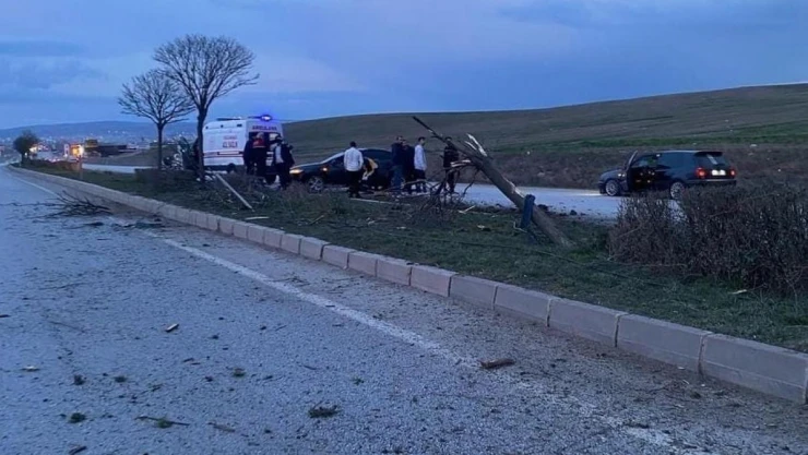 Önce köpeğe ardından refüjde bulunan ağaçlara çarptı: 1 yaralı