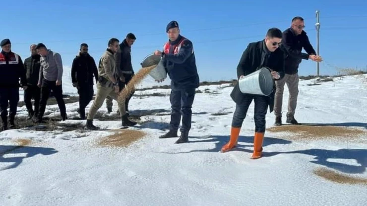 Özalp ilçesinde sokak ve yaban hayvanları için yem bırakıldı