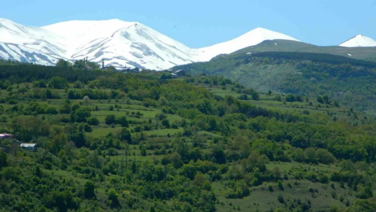 Posof'ta bahar görsel şölene dönüştü
