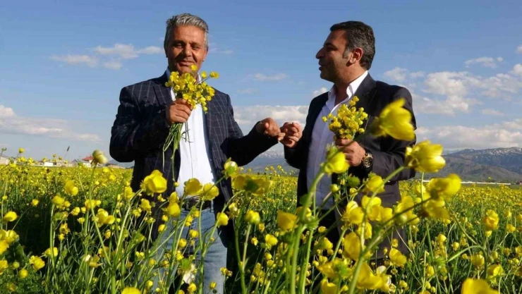 Sarı çiçeklerle renklenen Yüksekova'da muhteşem görüntü