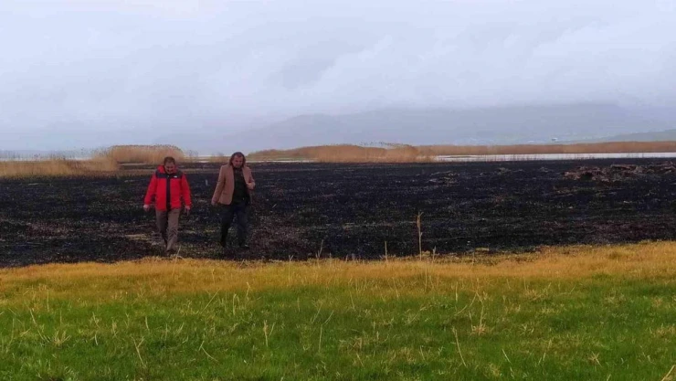 Sazlık yangınları Van'da ekolojik dengeyi bozdu