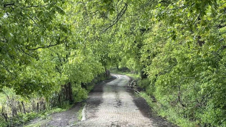 Şemdinli yeşil doğasıyla Karadeniz'i aratmıyor
