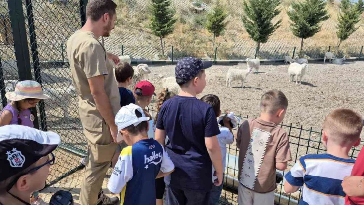 Sincan Belediyesinden çocuklara hayvan sevgisi