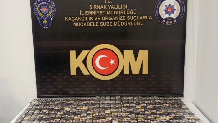 Şırnak'ta asayiş ve terör operasyonu: 46 gözaltı