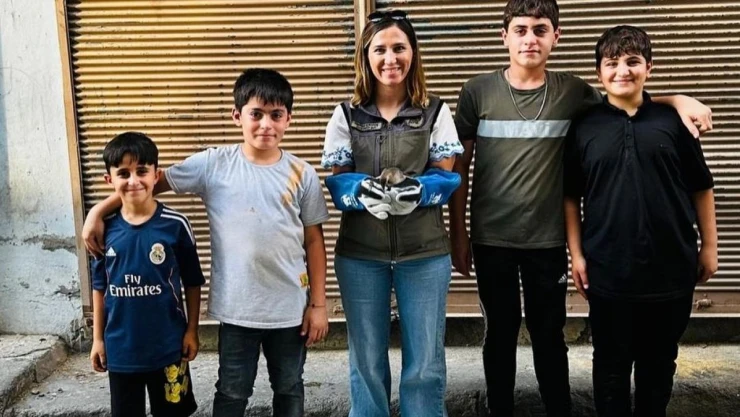 Şırnak'ta çocukların bulduğu 'su tavuğu' tedavi altına alındı