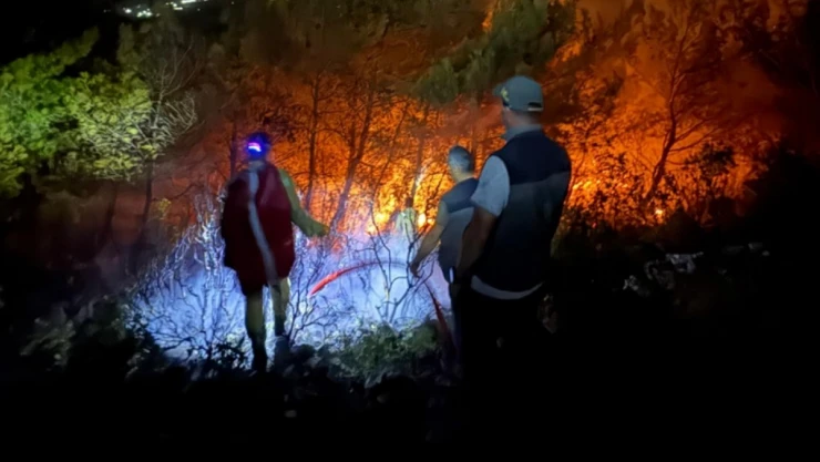 Söke'deki orman yangınının yayılması durduruldu