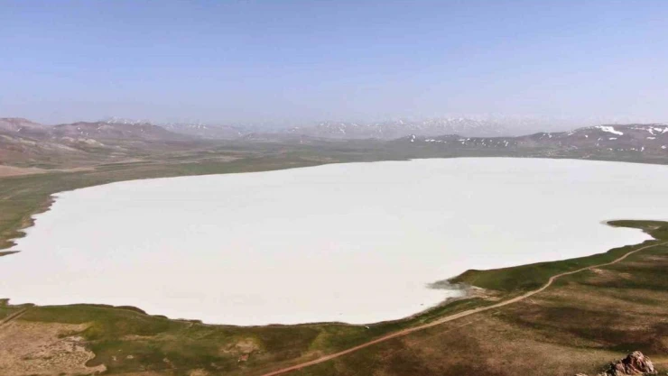 Son yağışlar Akgöl'ü tekrar canlandırdı