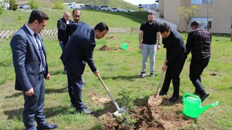 Tatvan Devlet Hastanesi bahçesinde fidan dikme etkinliği