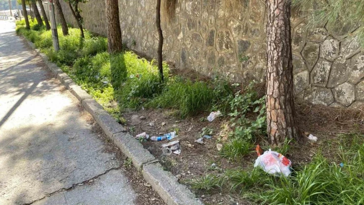 Topyatağı değil 'çöpyatağı' varyantı