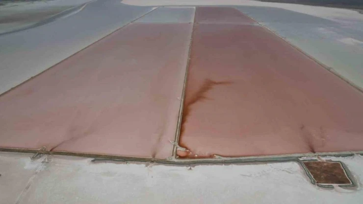 Tuz Gölü pembe renge büründü