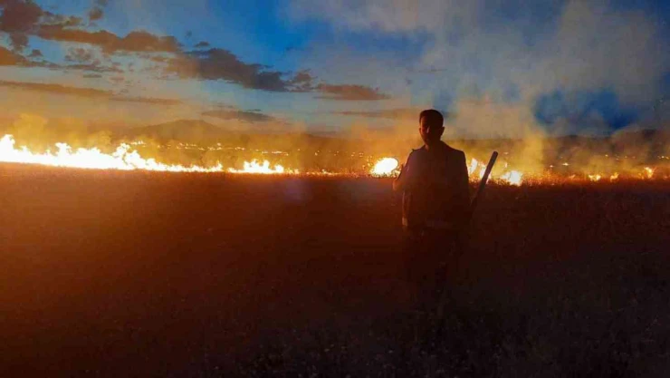 Van'da anız yangını