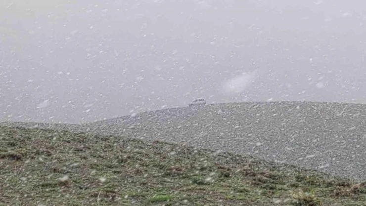 Van'ın yüksek kesimlerinde mayıs ayında lapa lapa kar yağdı