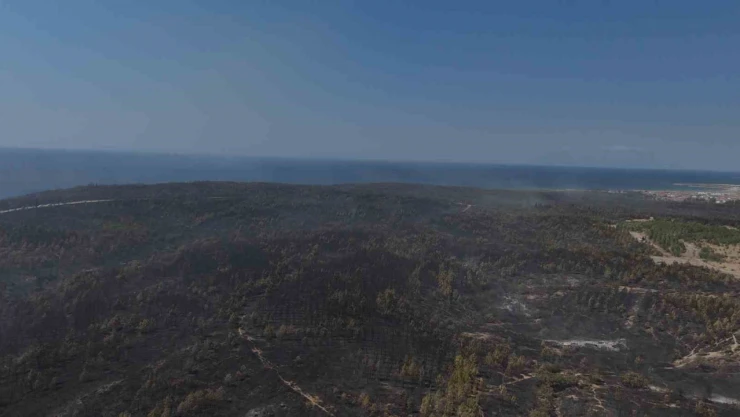 Yanan ormanın görüntüsü yürekleri dağladı