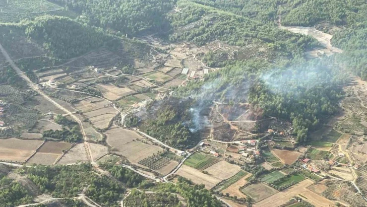 Yatağan'daki orman yangınında 4 hektar alan zarar gördü