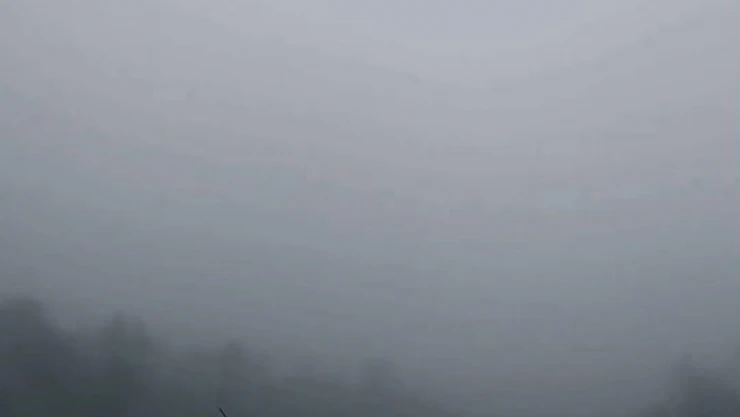 Yoğun sis D100'de görüş mesafesini 50 metreye kadar düşürdü
