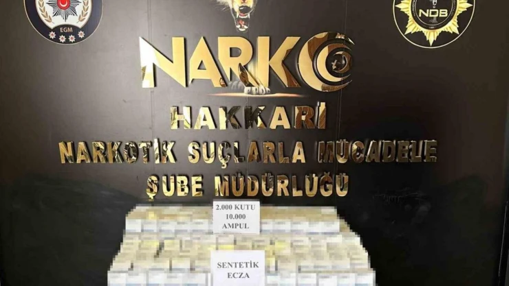 Yüksekova'da 10 bin ampul sentetik ecza ele geçirildi