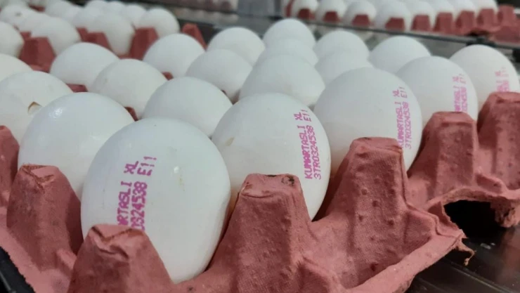 Yumurta fiyatlarının yükselmesinde üreticiler aracıları sorumlu tuttu