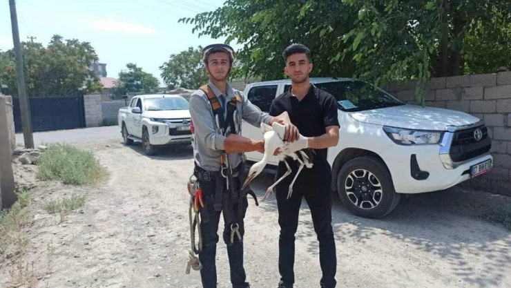 Yuvasında mahsur kalan leylek kurtarıldı
