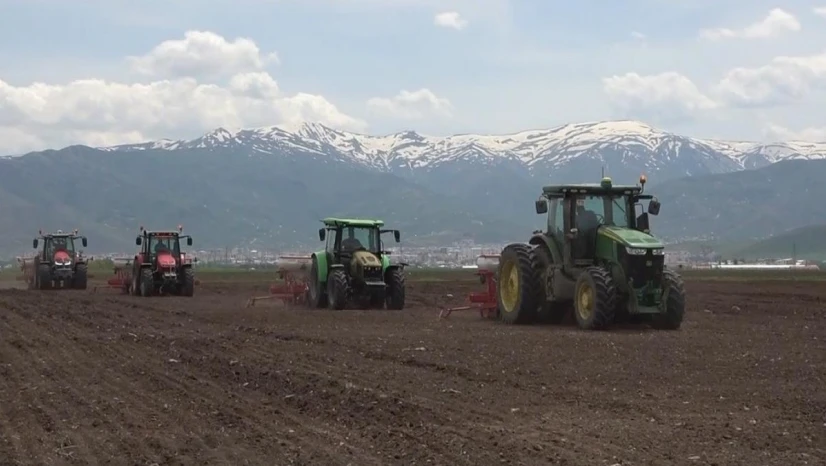 Muş şeker pancarı üretiminde atağa geçti