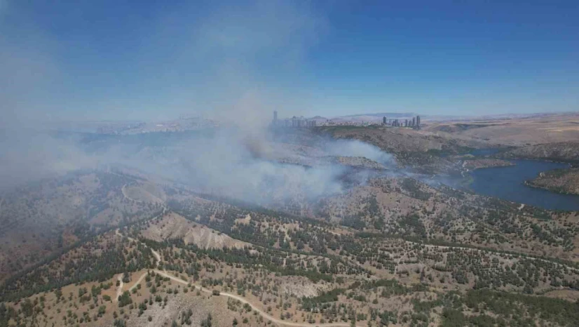 Ankara'daki orman yangını dron ile görüntülendi