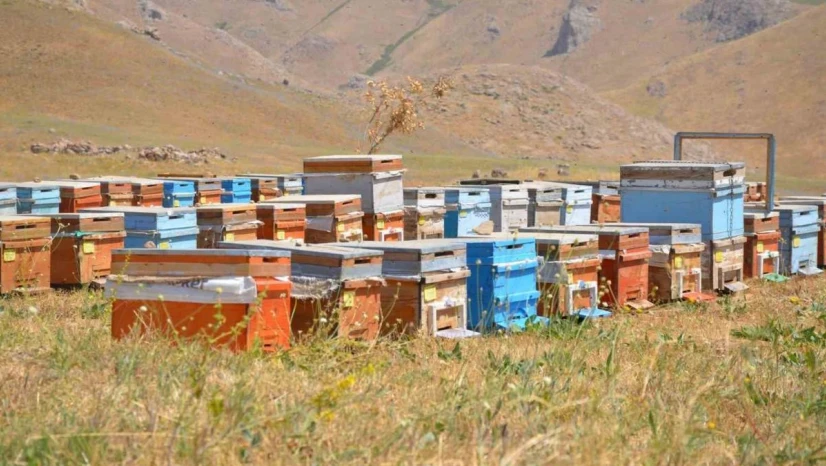 Doğal bal üreticileri tedirgin